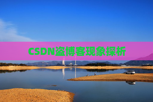 CSDN盗博客现象探析